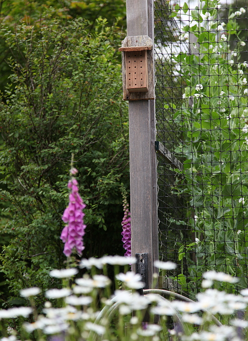 diy mason bee house