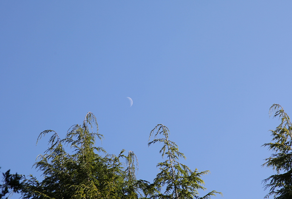 crescent_moon