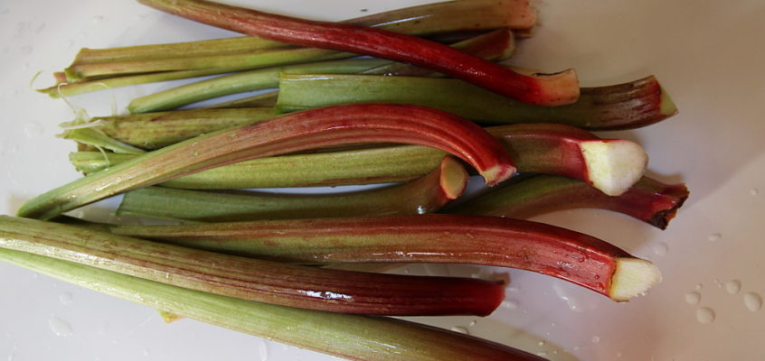 a rhubarb galette