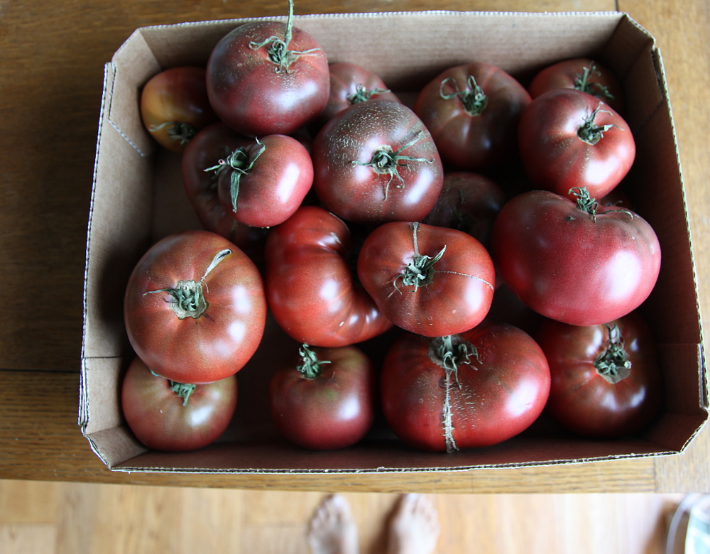 tomatoes_0