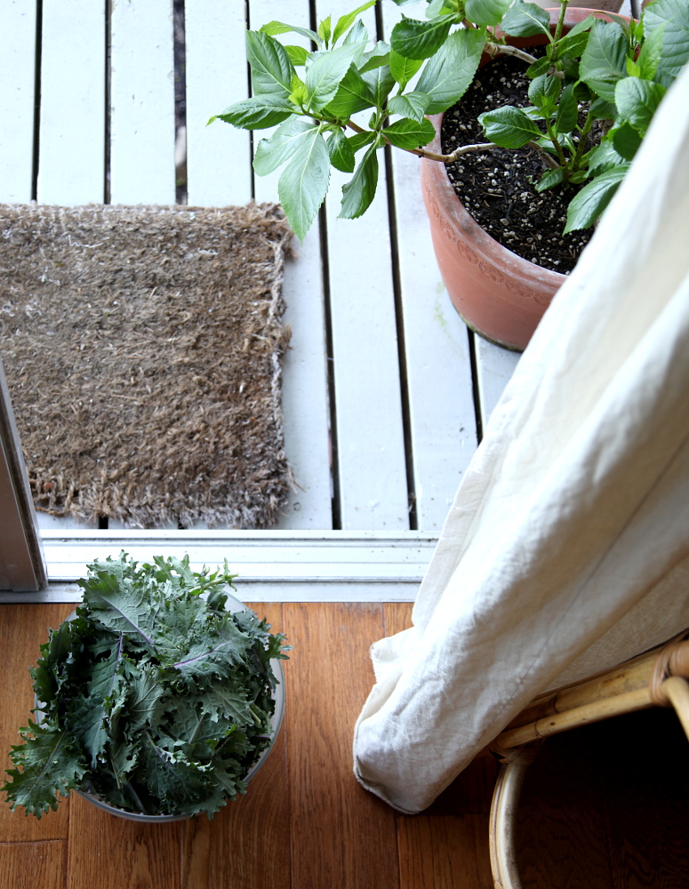 happy spring and some garden chatter