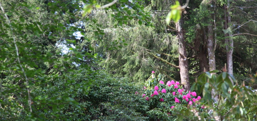 early may