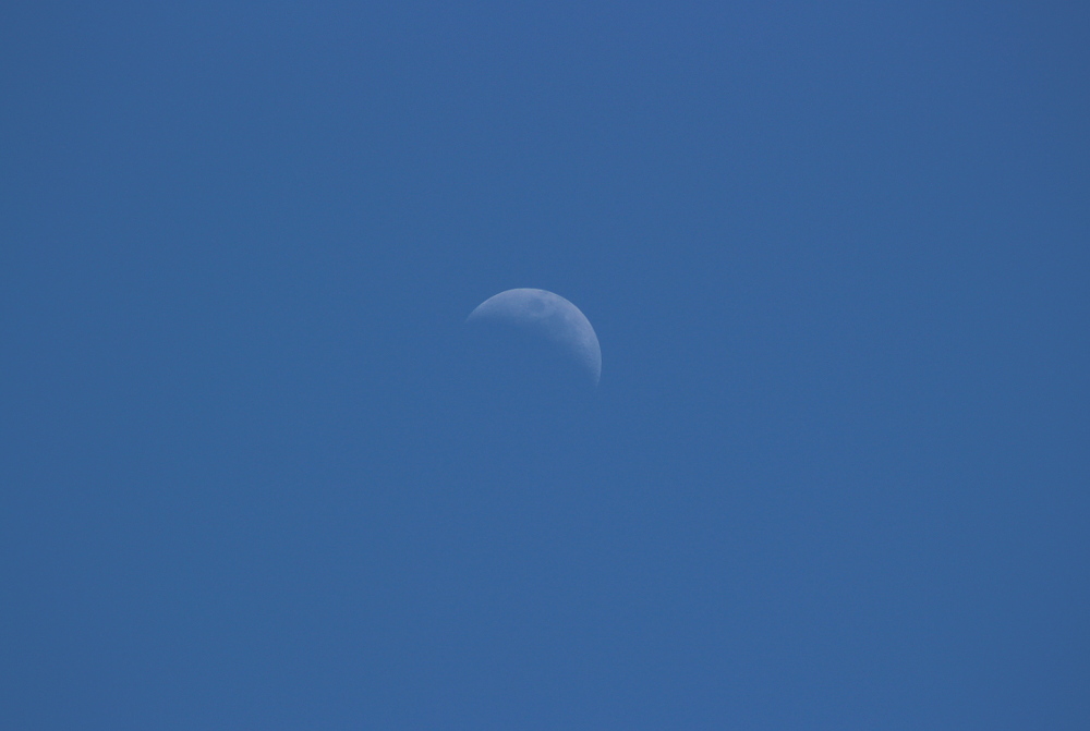 Waxing crescent moon, May 11
